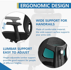 Primy Ergonomic Office Chair, Computer Desk Chair with Adjustable Sponge Lumbar Support, Comfortable Thick Cushion High Back Desk Chair with Adjustable Headrest and PU Armrests