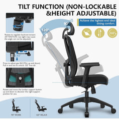 Primy Ergonomic Office Chair, Computer Desk Chair with Adjustable Sponge Lumbar Support, Comfortable Thick Cushion High Back Desk Chair with Adjustable Headrest and PU Armrests